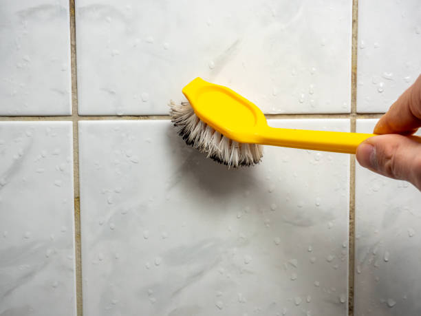 Best Emergency Mold Remediation in Tuckahoe, VA