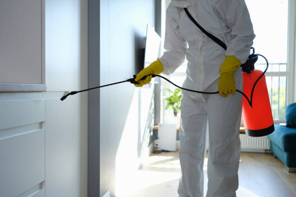 Best Attic Mold Remediation in Tuckahoe, VA
