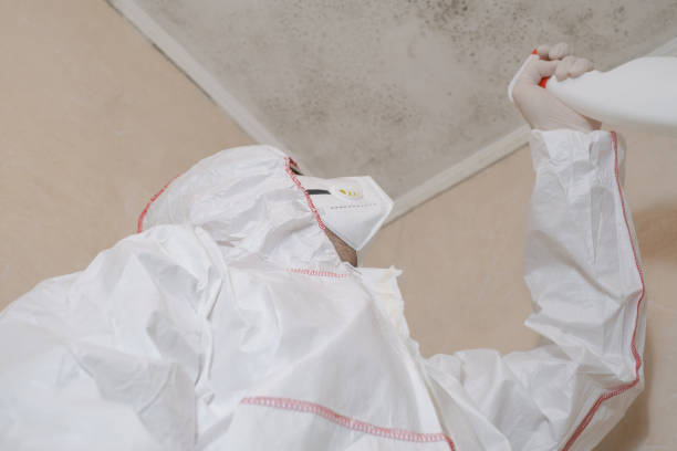 Best Preventive Mold Services in Tuckahoe, VA